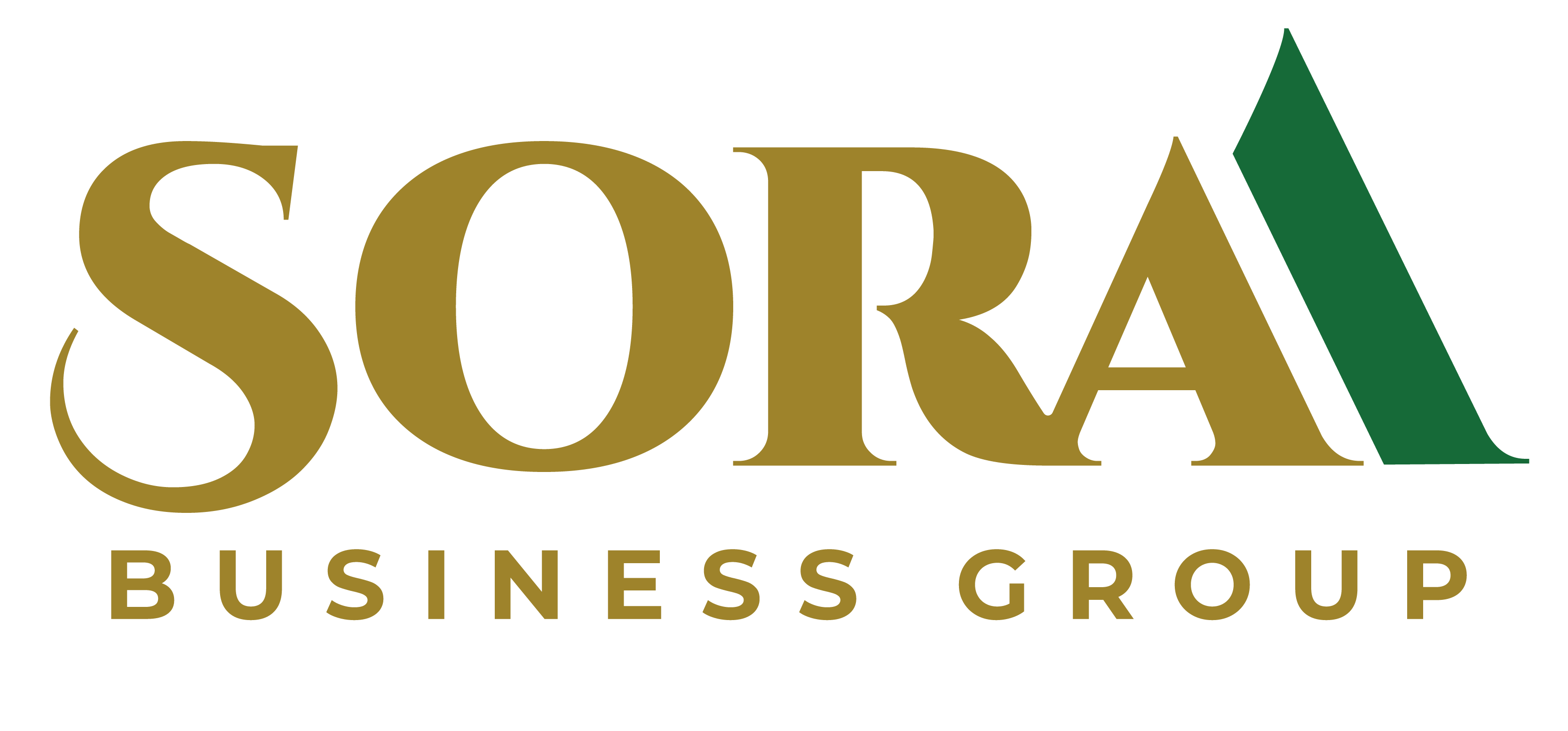 Sora Business Group, LLC